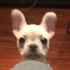 lilliana_colin